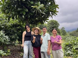 Liberica Coffee Beans: Taste & Where to Buy