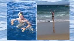  VIDEO: Second swim for sharks completed in Mossel Bay waters  | Mossel Bay Advertiser 