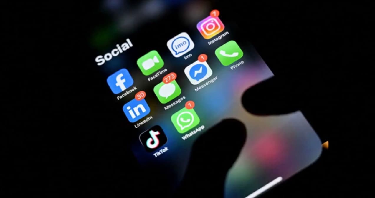 Online harassment; violation of individuals' rights and ...