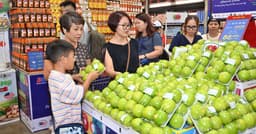 Reciprocal trade agreement with the US: beyond tariffs lie the long ...