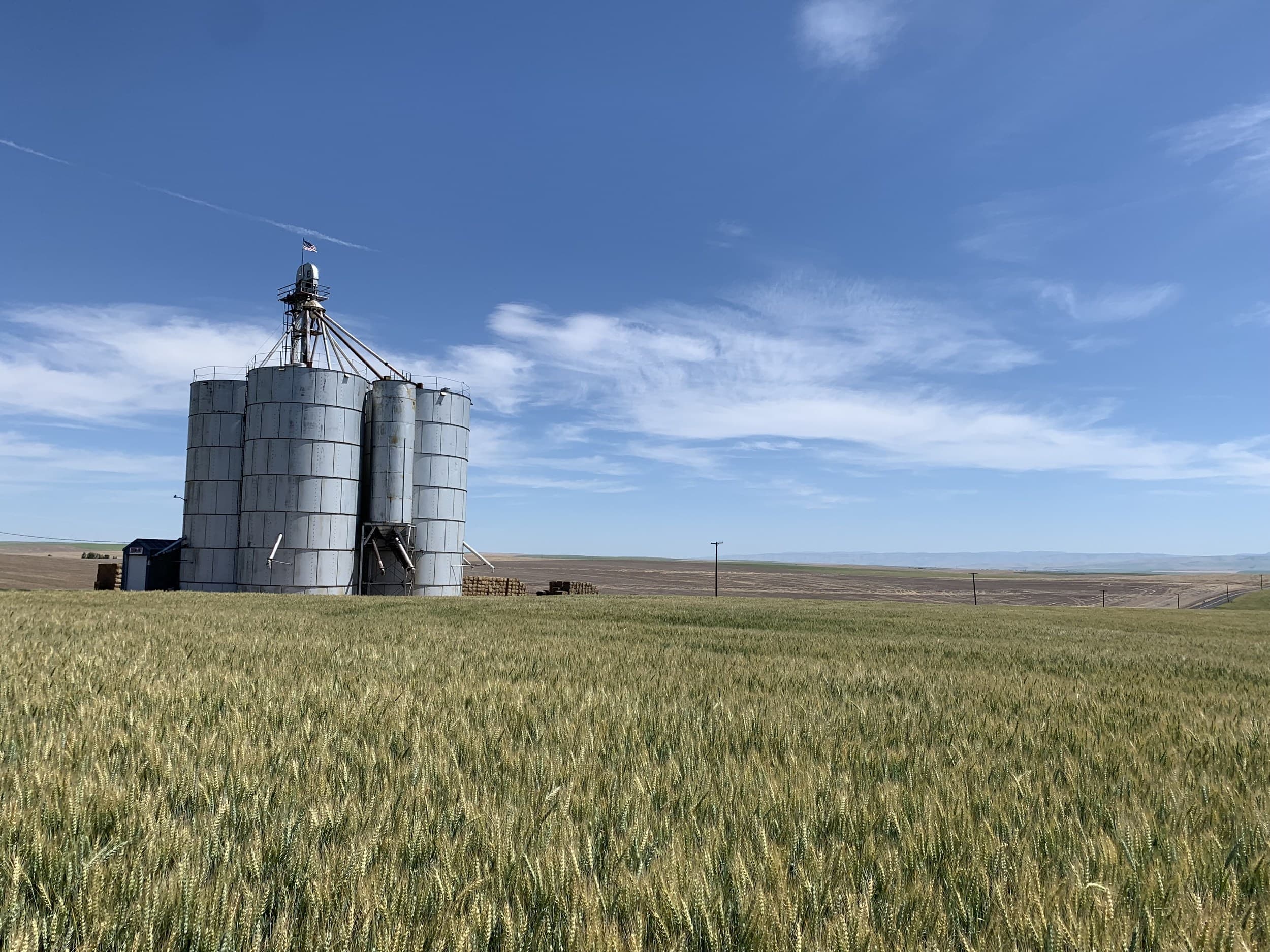 Washington Wheat Growers Call On Congress To Pass A New Farm Bill