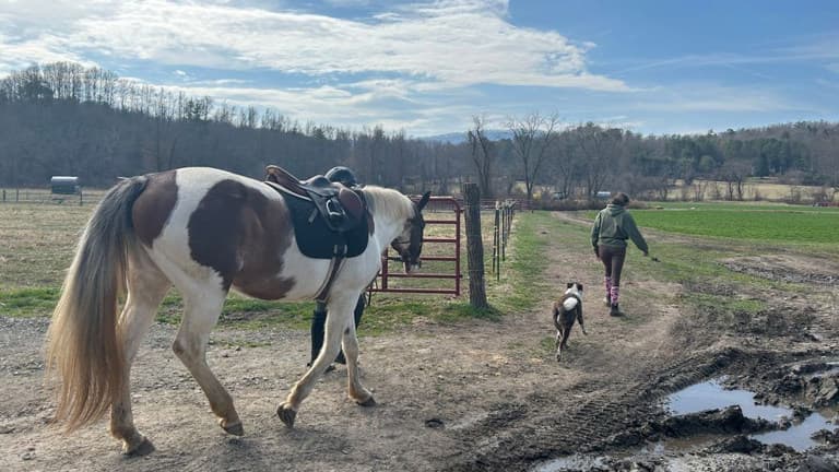 Henderson Co. secures $425K state grant to boost farmland preservation fund