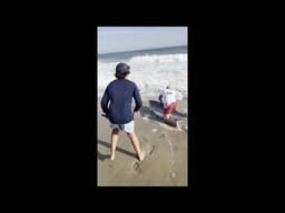 Fisherman catches white shark, removes hook and releases the top predator fish on Nantucket beach