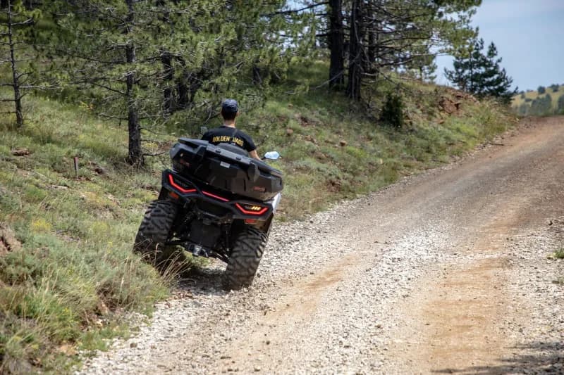 Eyes on the Trail: A Real-World Guide to Wildlife Encounters ...