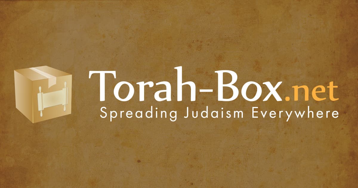 Talmud (Oral Torah) - Temurah 2a - Temurah 2b