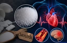 Sweetener in Sugar-Free Gum Linked to 57% Higher Heart Attack & Stroke Risk: What Is Xylitol?