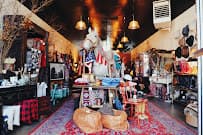 Denver's 19 Best Unique Thrift Stores