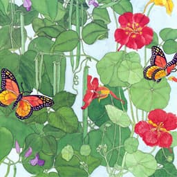 
      Easy to Grow Starter Packs
 – Renee's Garden