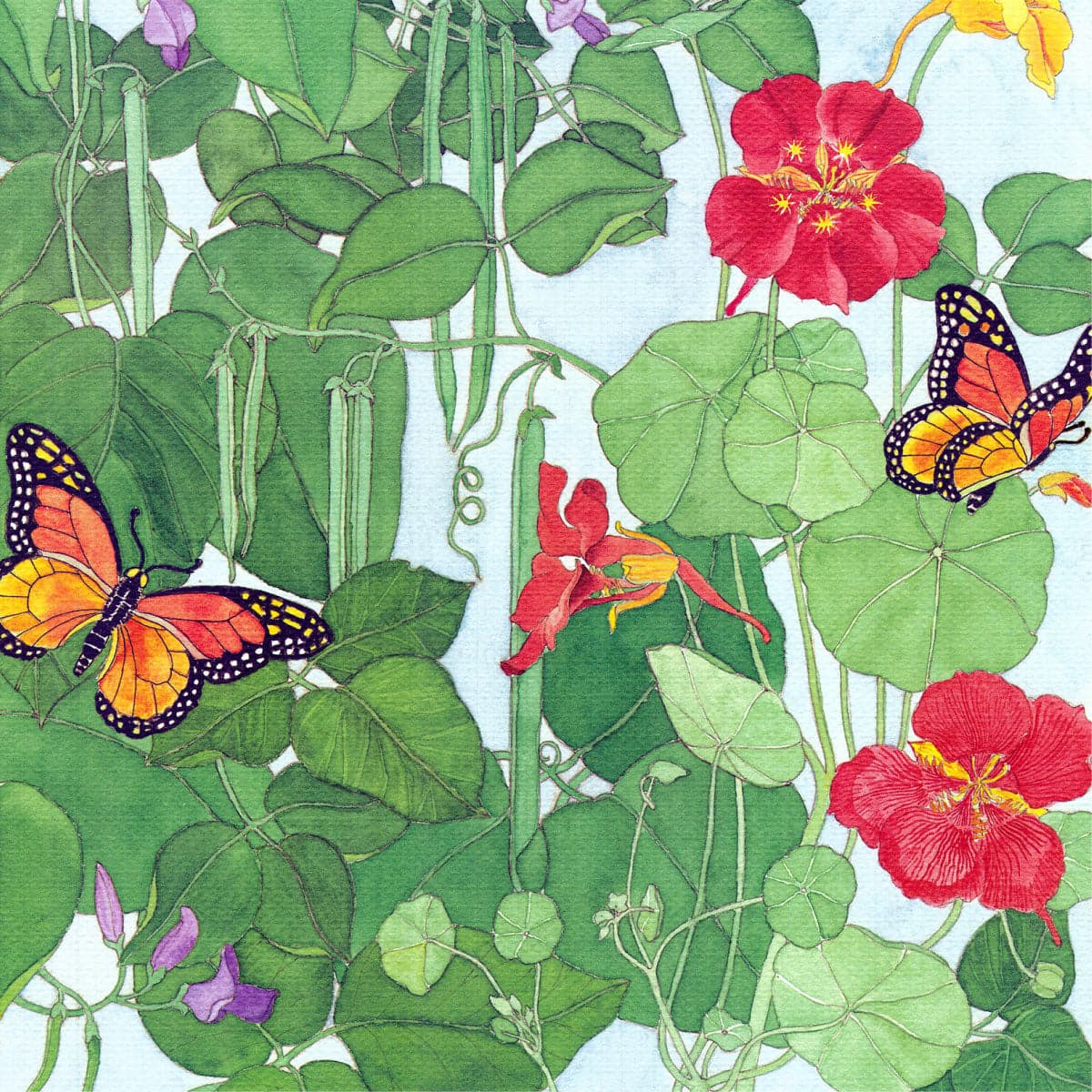 
      Flowers
 – Renee's Garden