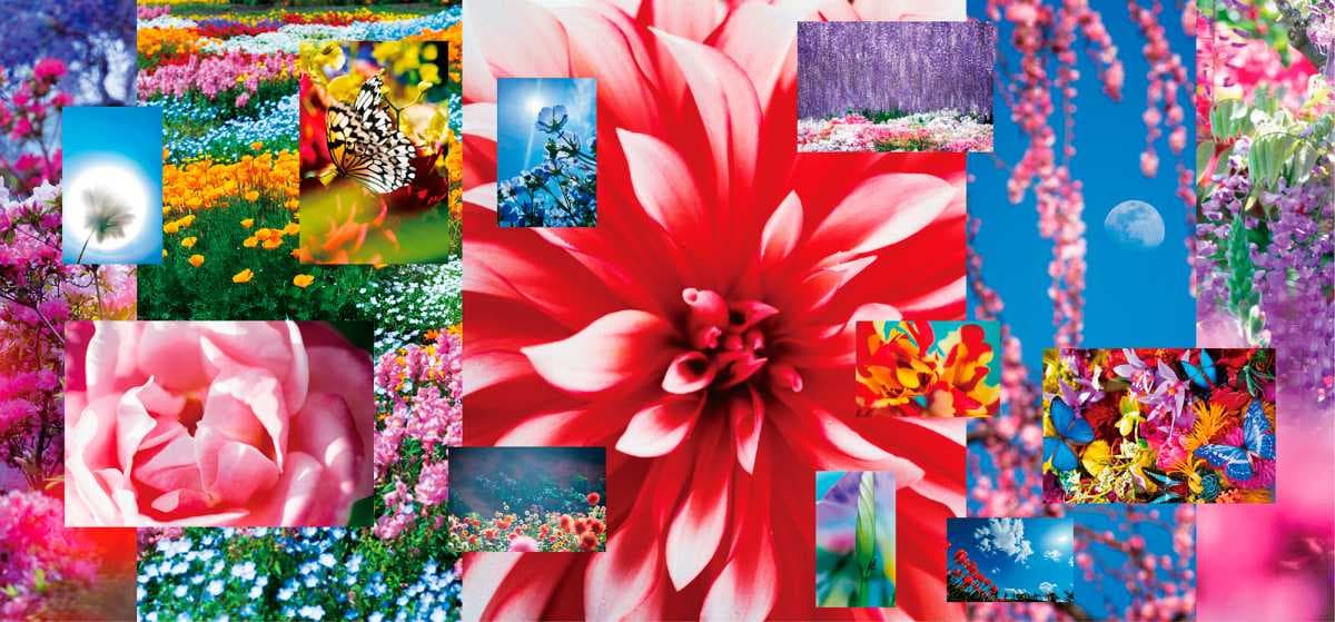 10 essential NYC art exhibitions to add to your calendar this fall