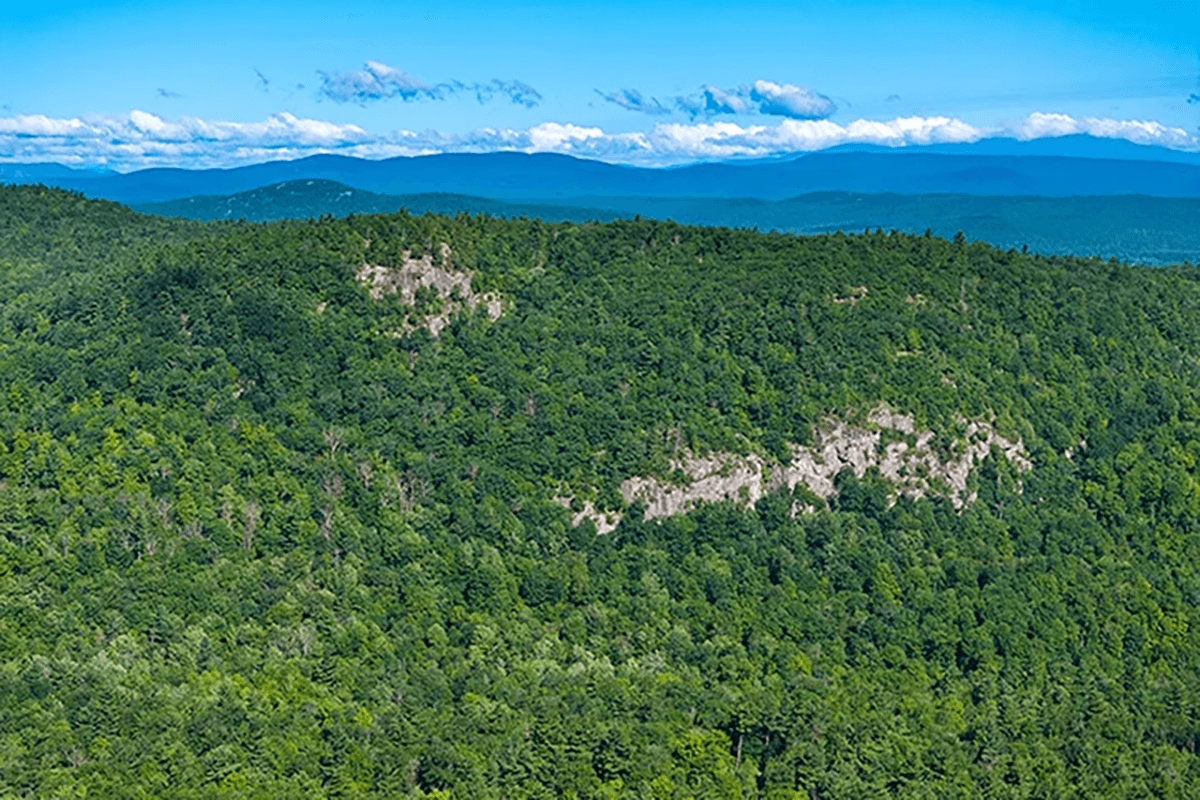 Two new land deals protect nearly 4000 acres in ...