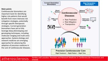Precision and network medicine in cardiovascular prevention and ...