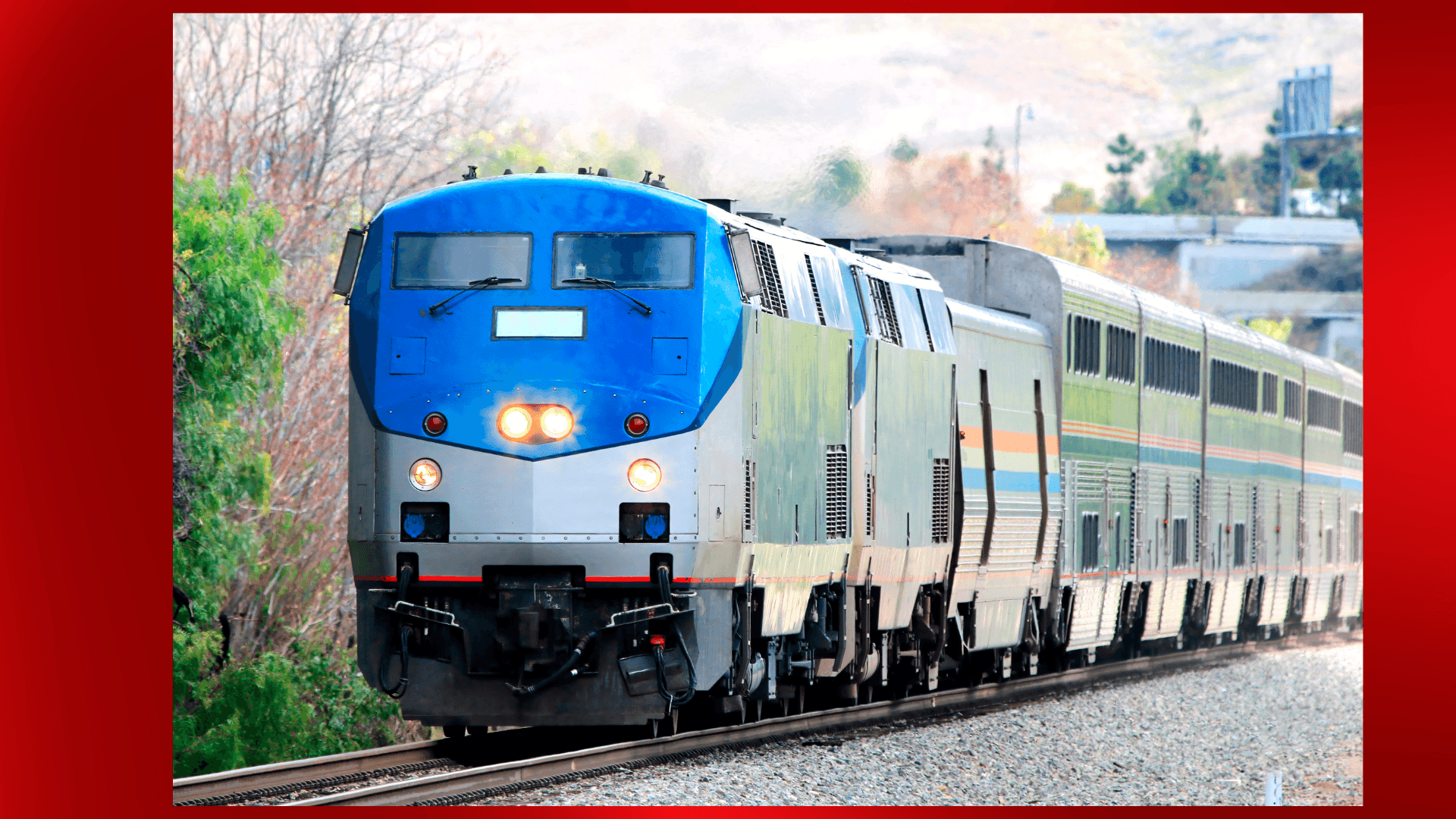 Passenger Angry Over Amtrak Delay Arrested After Assault on Train Staff