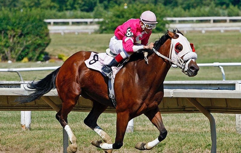 Australian Racing Reaches a New Level: The Landmark ...