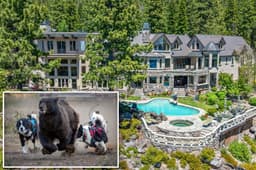 Millionaire Lake Tahoe homeowners deploy risky new ...