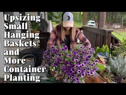 Upsizing Small Hanging Baskets + Planting Annual Containers for Cohesive Color and Impact // zone 8b