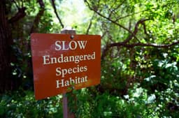 Future Threatened Species Lose Automatic ESA Protections