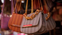 Woman thrifts vintage handbag from flea market and hits jackpot ...
