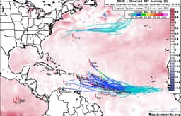 The Ballad of Lisa Frank: The Hurricane Watch for August 10th
