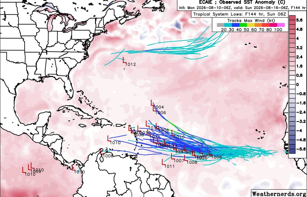 The Ballad of Lisa Frank: The Hurricane Watch for August 10th