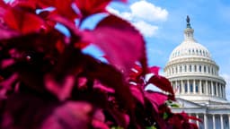 AI Firms Pour Record Funds into Washington Lobbying to ...