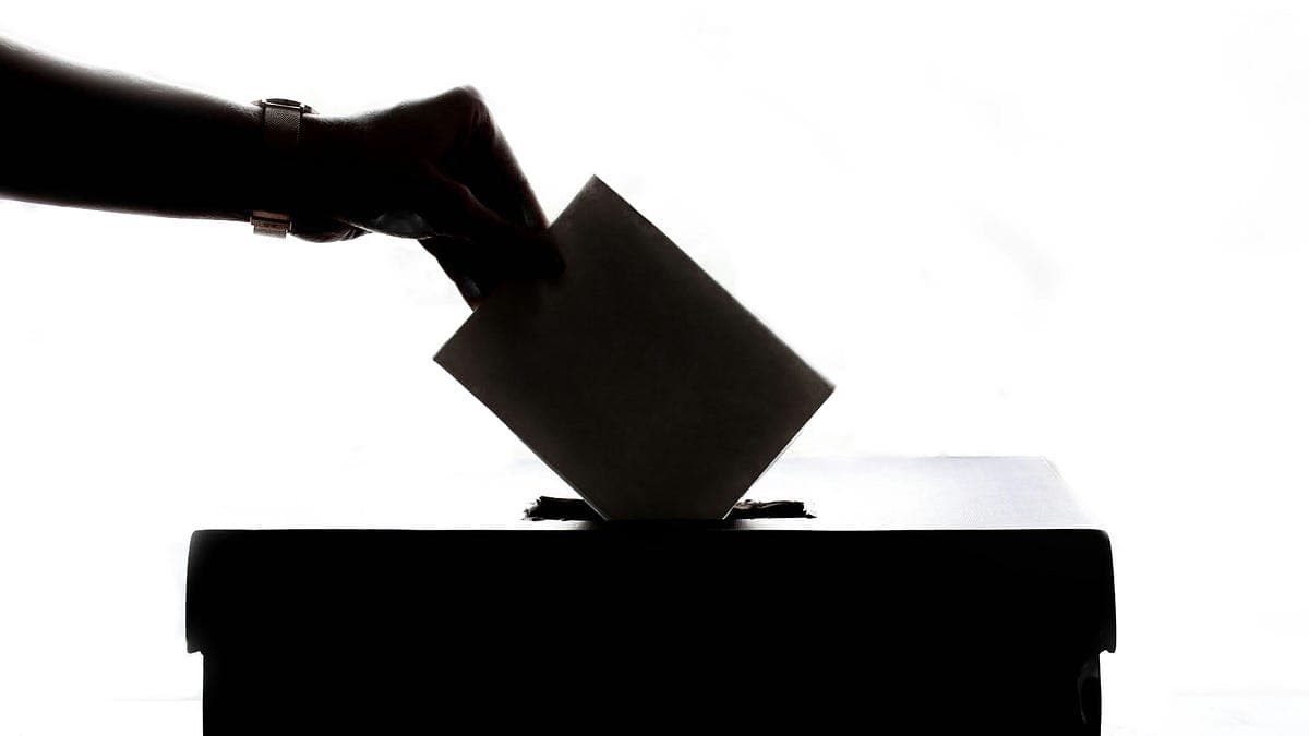 First Reform UK councillor elected in Somerset
