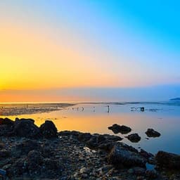 
	China brings 504 MW deep water offshore wind project into full operation TGS 4C | 4C Offshore News
