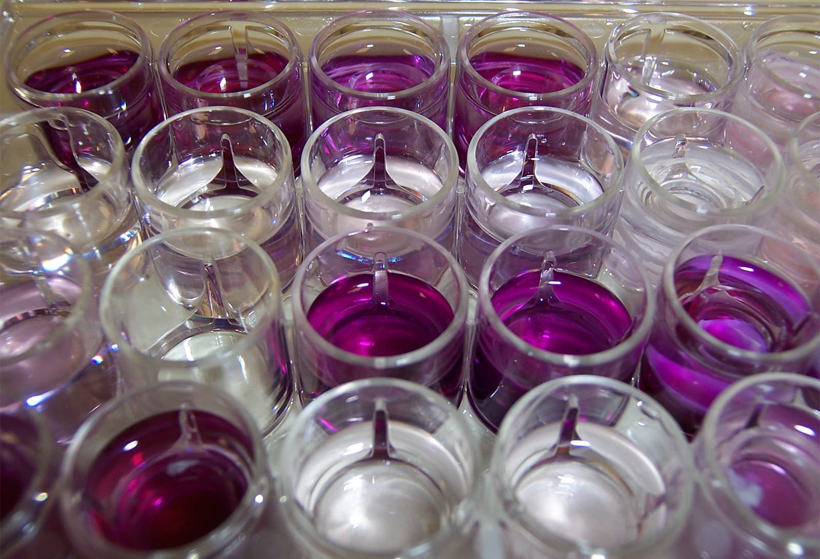 Osmo AI and IIVS Build Human-Based AI to Predict Cosmetic Skin Irritation | BeautyMatter