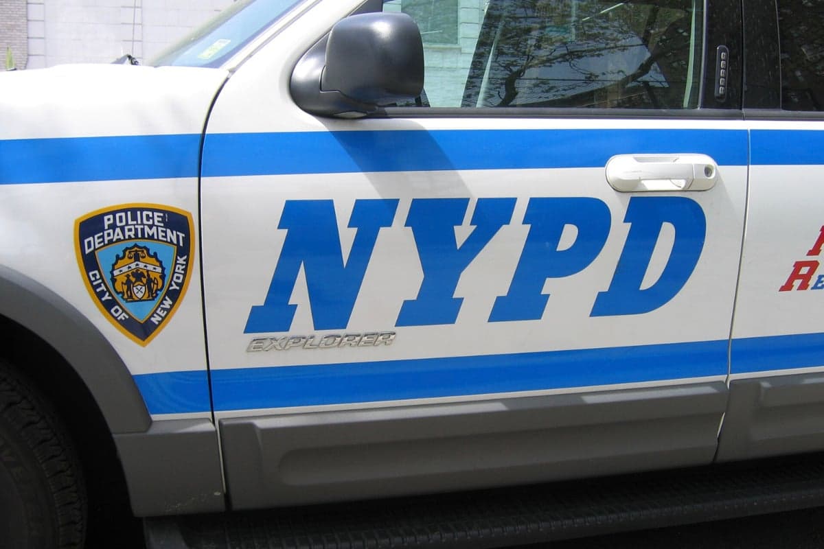 Bronx Shirtless Suspect Pummeled Outside 50th Precinct On Video