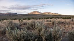 Forest Service Moves to Reduce Public Oversight and Public Comments on Its Policies