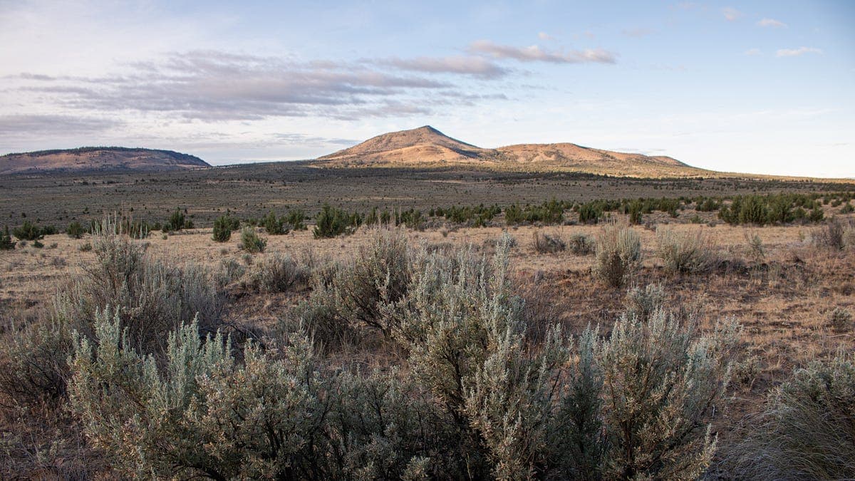 Forest Service Moves to Reduce Public Oversight and Public Comments on Its Policies
