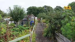 How to Build Better Garden Soil by Increasing Humus