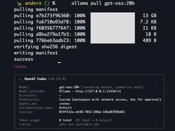 Local model inference with Ollama
