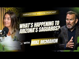 What’s Happening to Arizona’s Saguaros?