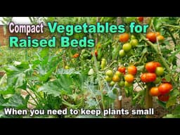 Best Vegetables for Raised Beds: Top Compact Plants for Big Harvests