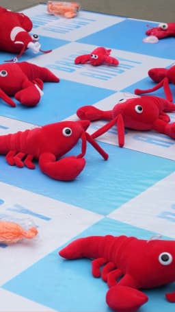 Watch Meet OpenClaw: The AI Craze Sweeping China - Bloomberg