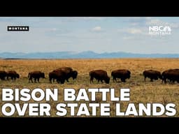 Montana Land Board battles American Prairie in new bison lands lawsuit