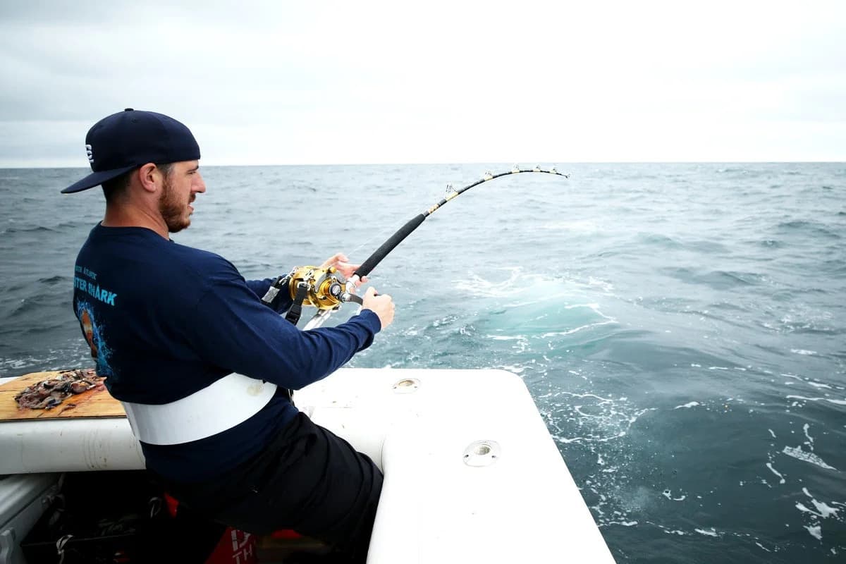 Fishermen could soon be allowed to hunt more sharks under Trump team ...