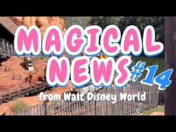 Magical News #14 - Latest News and updates
