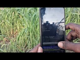 OKCas loan app is real or fake | OKCas loan app review in Tamil