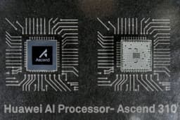 Chinese chipmakers claim nearly half of local market as Nvidia's lead shrinks