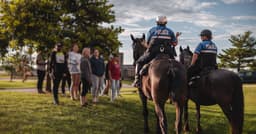 Daily Calls: March 31-April 1, 2026 | Police | City of Madison, WI