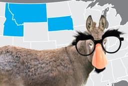 Dems’ Stealth Plan to Reclaim the Senate Hits a Rough Patch