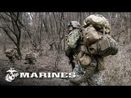 U.S.-ROK Marines Conduct Intense Live-Fire Training in South Korea (2026)