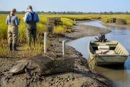 State launches coastal survey to track worrisome decline of ...