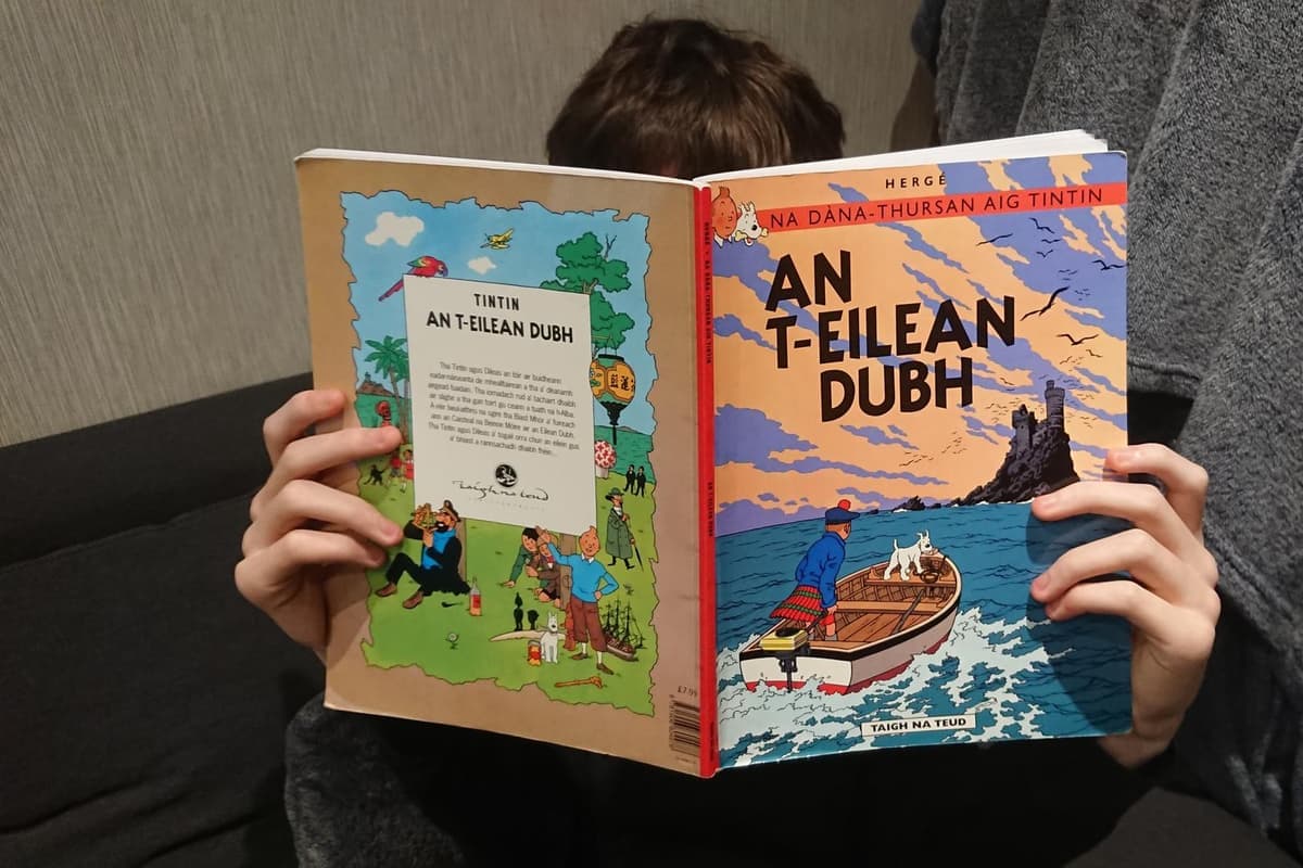 Career prospects of Gaelic education studied for the first time