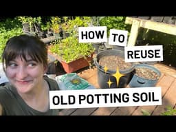 What to do with old soil from pots? 🪴 Container veggie garden system