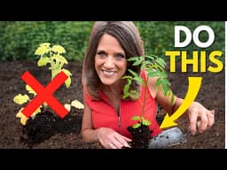 You’re Planting Tomatoes WRONG (And It’s Killing Your Harvest)