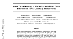 Good Token Hunting: A Hitchhiker's Guide to Token Selection for Visual Geometry Transformers