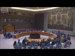 国連安保理　ホルムズ海峡での武力行使を含む「防衛」決議案の採決延期(2026年4月3日)